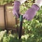 Molemax Bonide MoleMax Animal Repellent Stake For Gophers and Moles 1 each 61120 - alternate 8